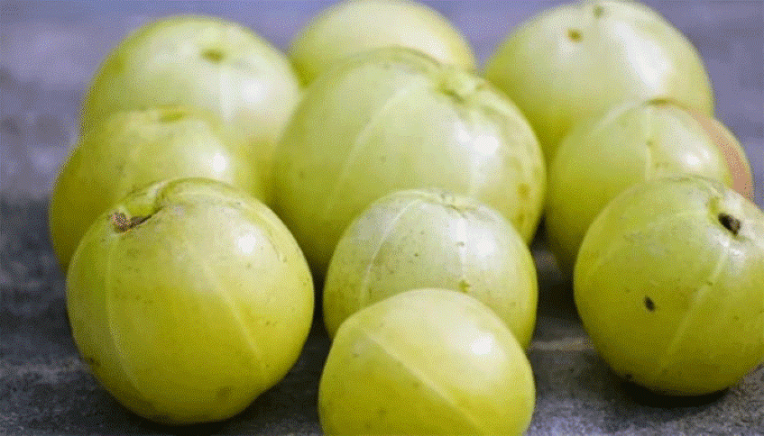 আমলকী খাওয়া ত্বকের জন্য কতটা উপকারী?