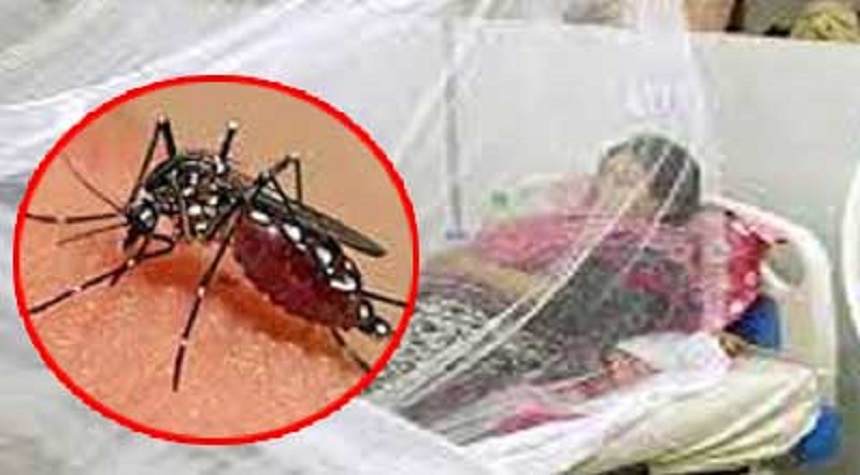 ময়মনসিংহে ডেঙ্গু আক্রান্ত যুবকের মৃত্যু