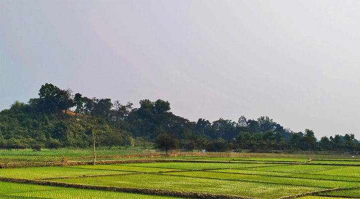 টেকনাফ সীমান্ত দিয়ে আবারো রোহিঙ্গা অনুপ্রবেশ, অপেক্ষায় ৪০ হাজার