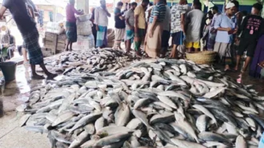 দীর্ঘ অপেক্ষার পর ট্রলার বোঝাই ইলিশ নিয়ে ঘাটে ফিরছে জেলেরা