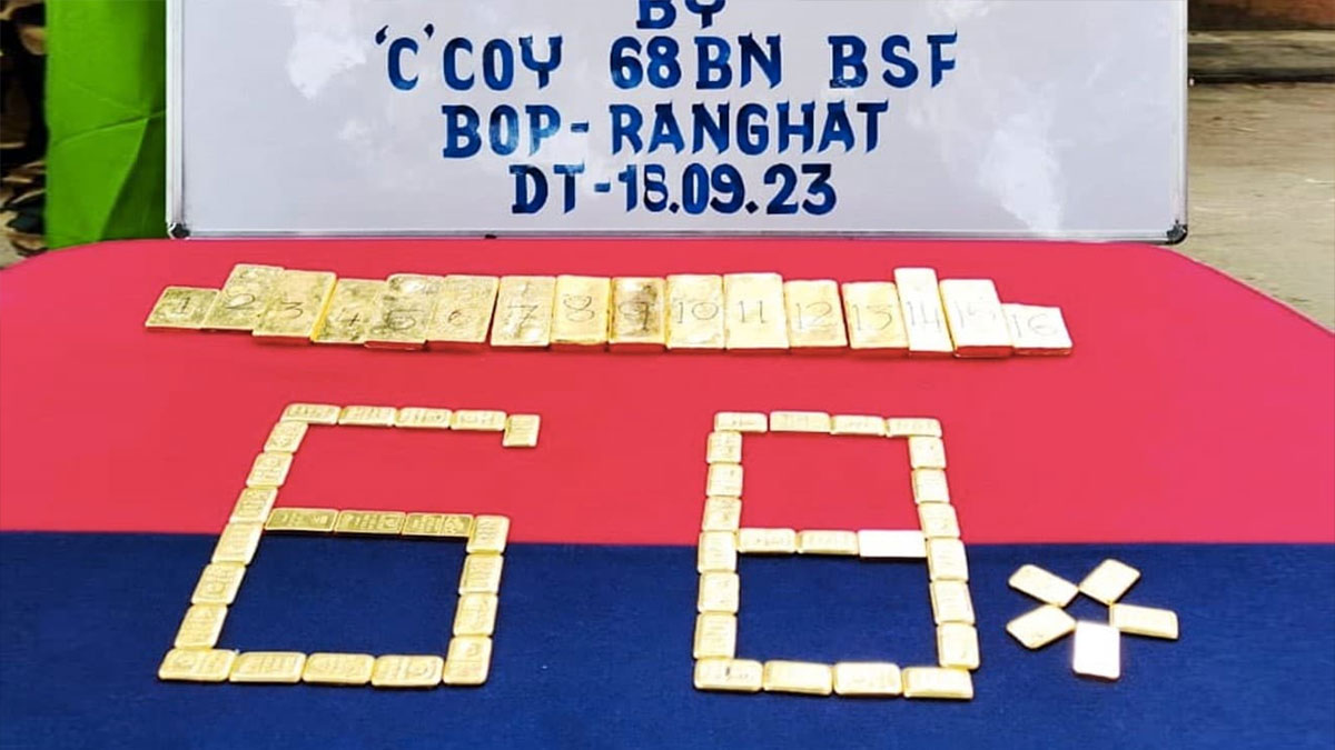 ভারতে পাচারের সময় সীমান্তে ২৩ কেজি স্বর্ণ জব্দ, আটক ১