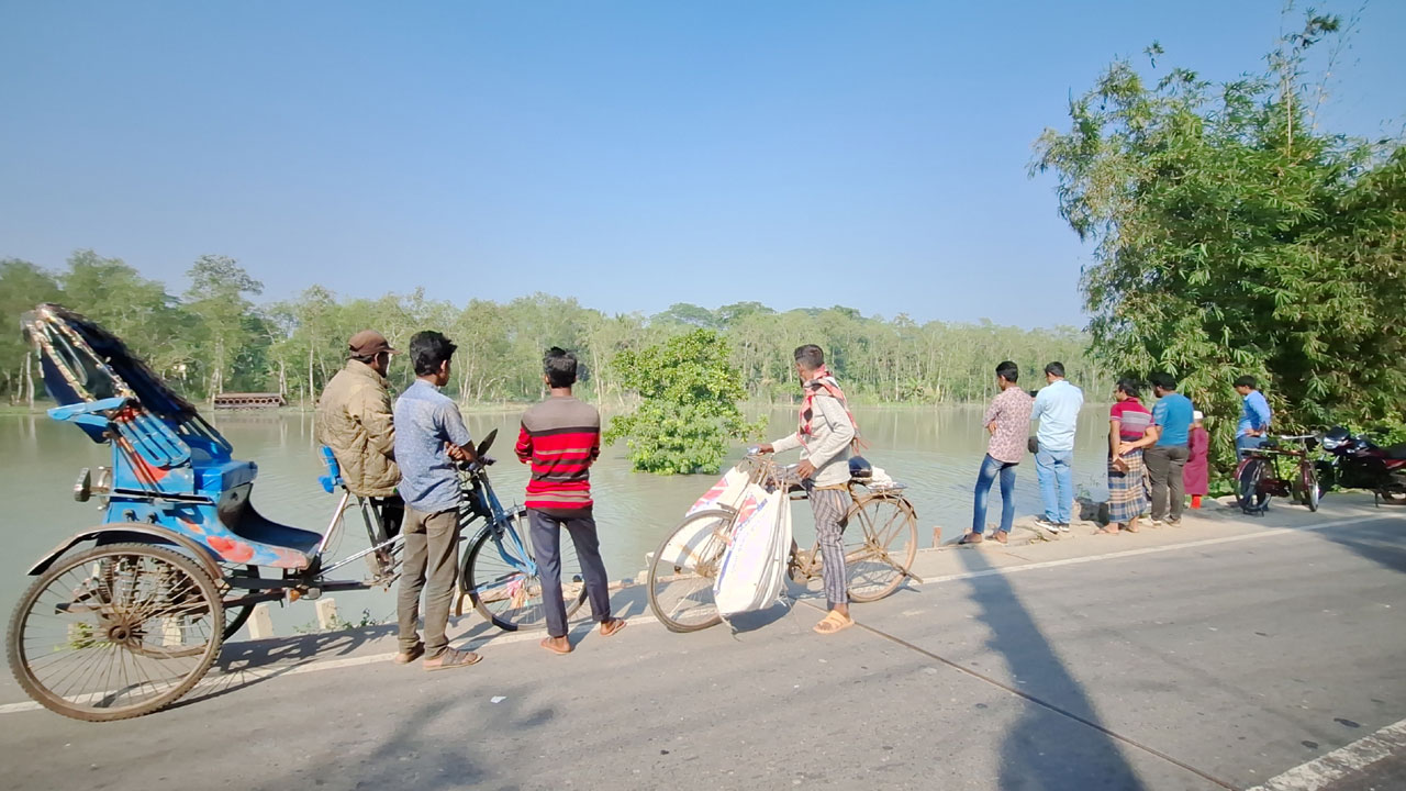 রাতের আঁধারে নদীর মাঝে চলে গেছে গাছ, এলাকায় চাঞ্চল্য