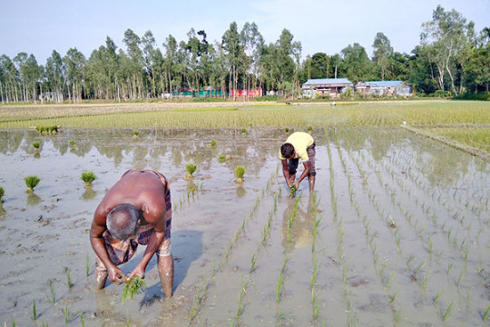 বাংলাদেশ