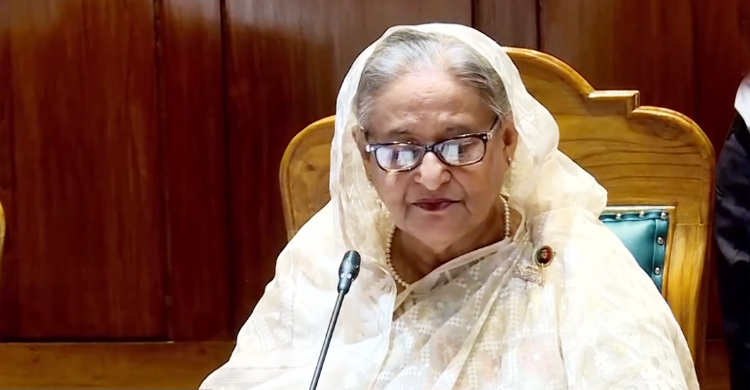 শেখ হাসিনার বিরুদ্ধে মামলা, অভিযোগে যা বলা হয়েছে