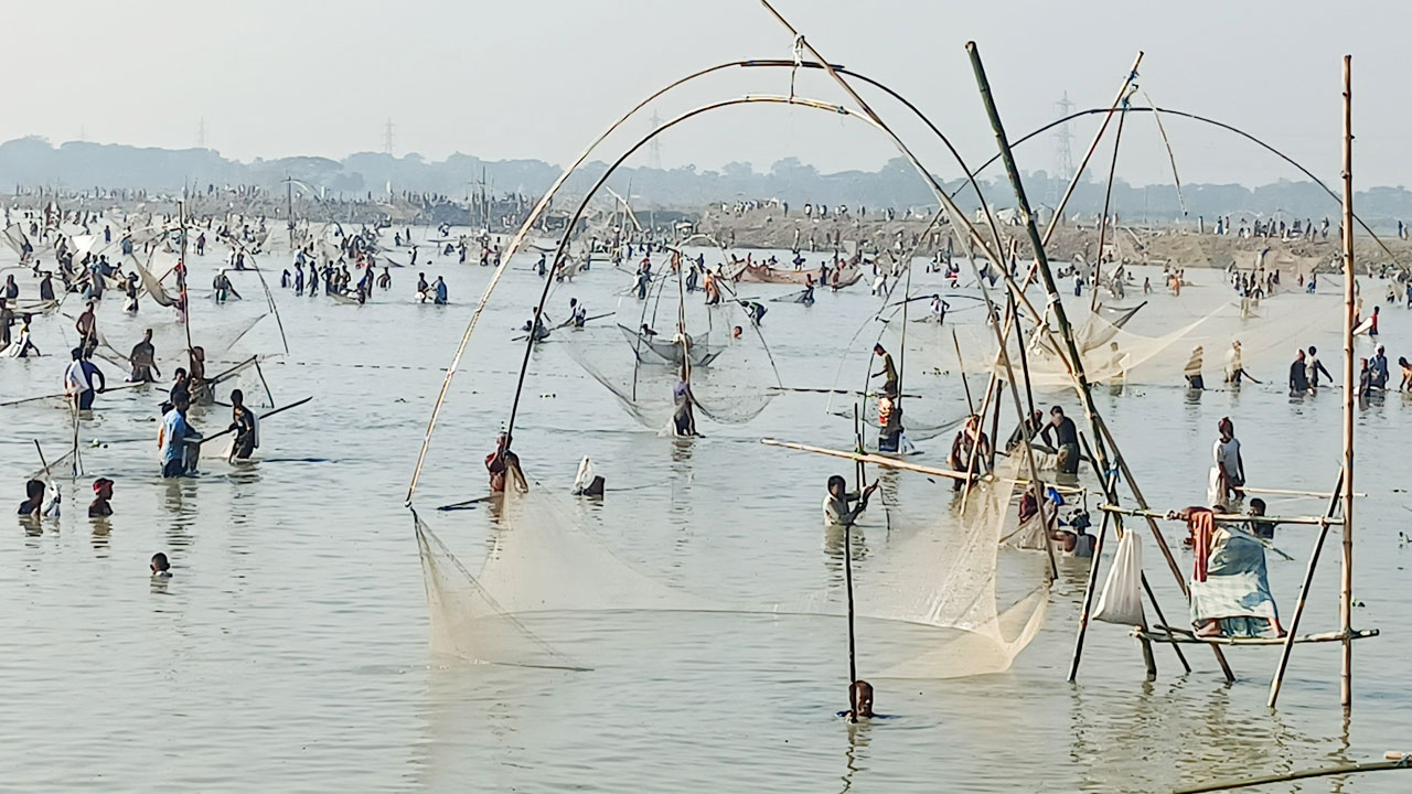 ‘বোখা’ বিলে দেখা মিলে মাছ ধরার এমন উৎসব