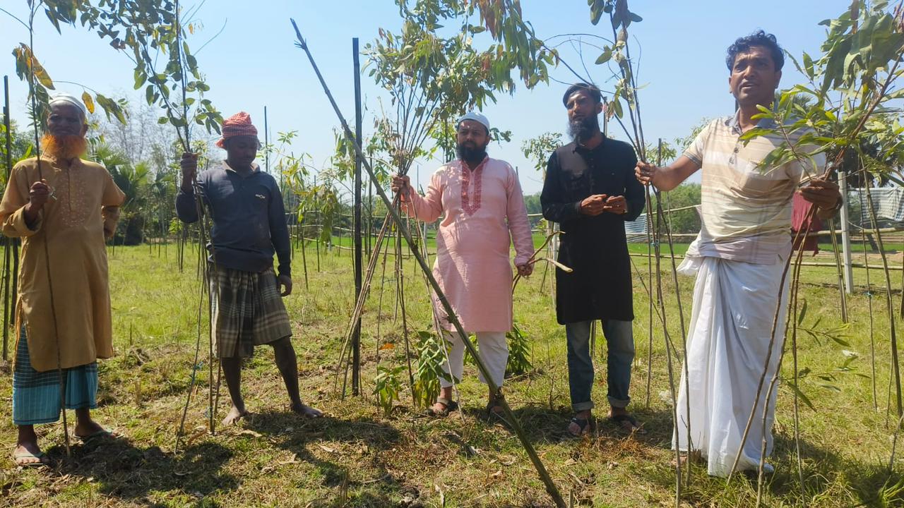 শ্রীপুরে রাতের আঁধারে শিক্ষিকার ৩০০ গাছ কাটলো দুর্বৃত্তরা