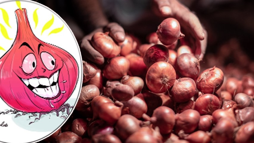 রাতারাতি সব পেঁয়াজের দাম বেড়ে গেছে